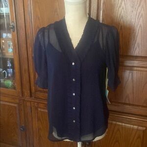 Blue Sheer Puff Sleeve Blouse with Notched Collar